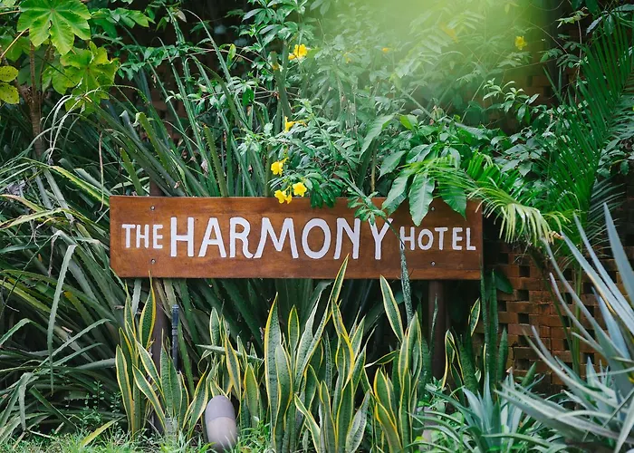 The Harmony Hotel