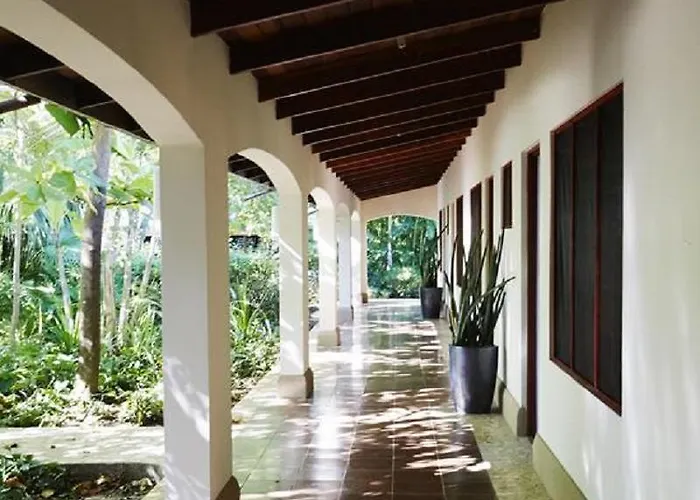The Harmony 3*