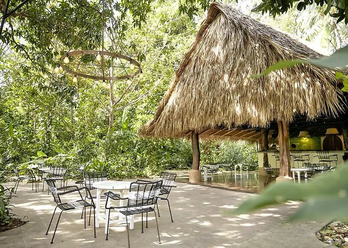 Hotel The Harmony